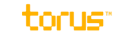 Torus Logo