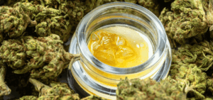 Cannabis and Oil use in Washington State